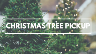 2023 Christmas Tree Pickup
